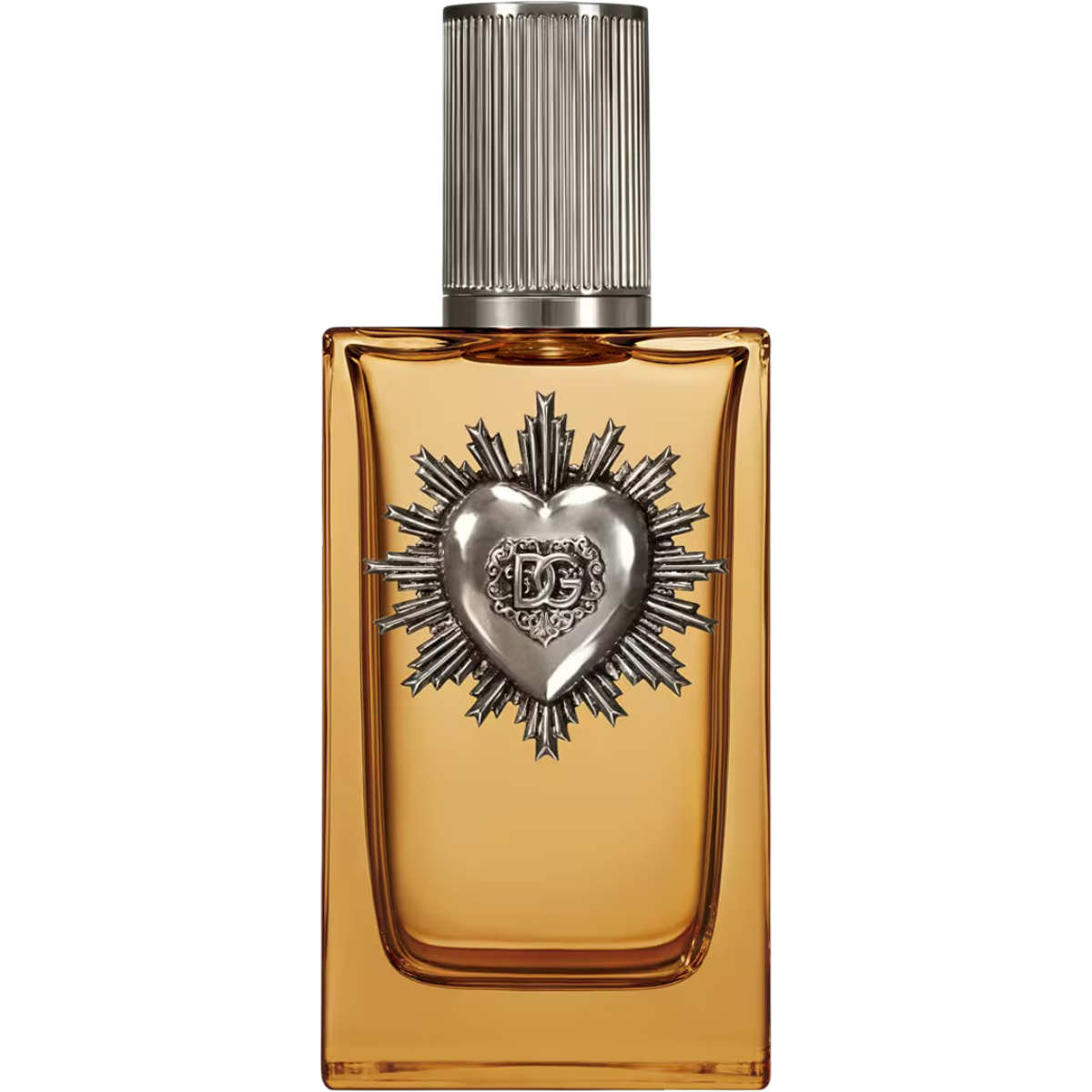 DEVOTION POUR HOMME PARFUM (2025) • DOLCE & GABBANA • ScentAdvice