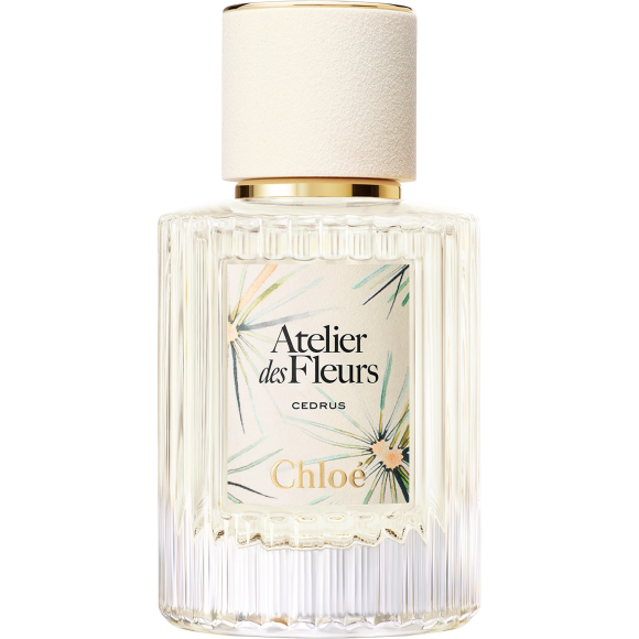Atelier des Fleurs - CEDRUS (LIMITED EDITION) (2025) • CHLOE